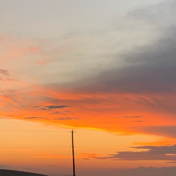 Meet your Posher, Itzel - Picture 1 of 1